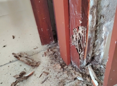 Thay Khung Cửa Gỗ Bị Mối Mọt Tại Thảo Điền, Quận 2 – Khung cửa nhựa Composite Bảo Hành 2 Năm