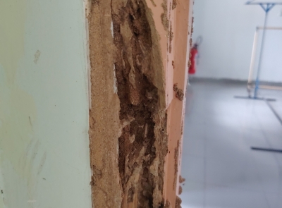 Thay Khung Cửa Gỗ Bị Mối Mọt Bằng Khung Cửa Nhựa Composite Tại Quận 6