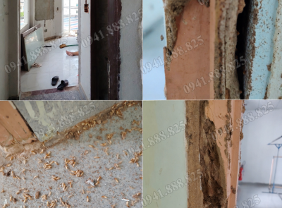 Thay Khung Cửa Gỗ Bị Mối Mọt, Mục Nát Bằng Cửa Nhựa Composite Tại Chánh Phú Hoà, Bến Cát