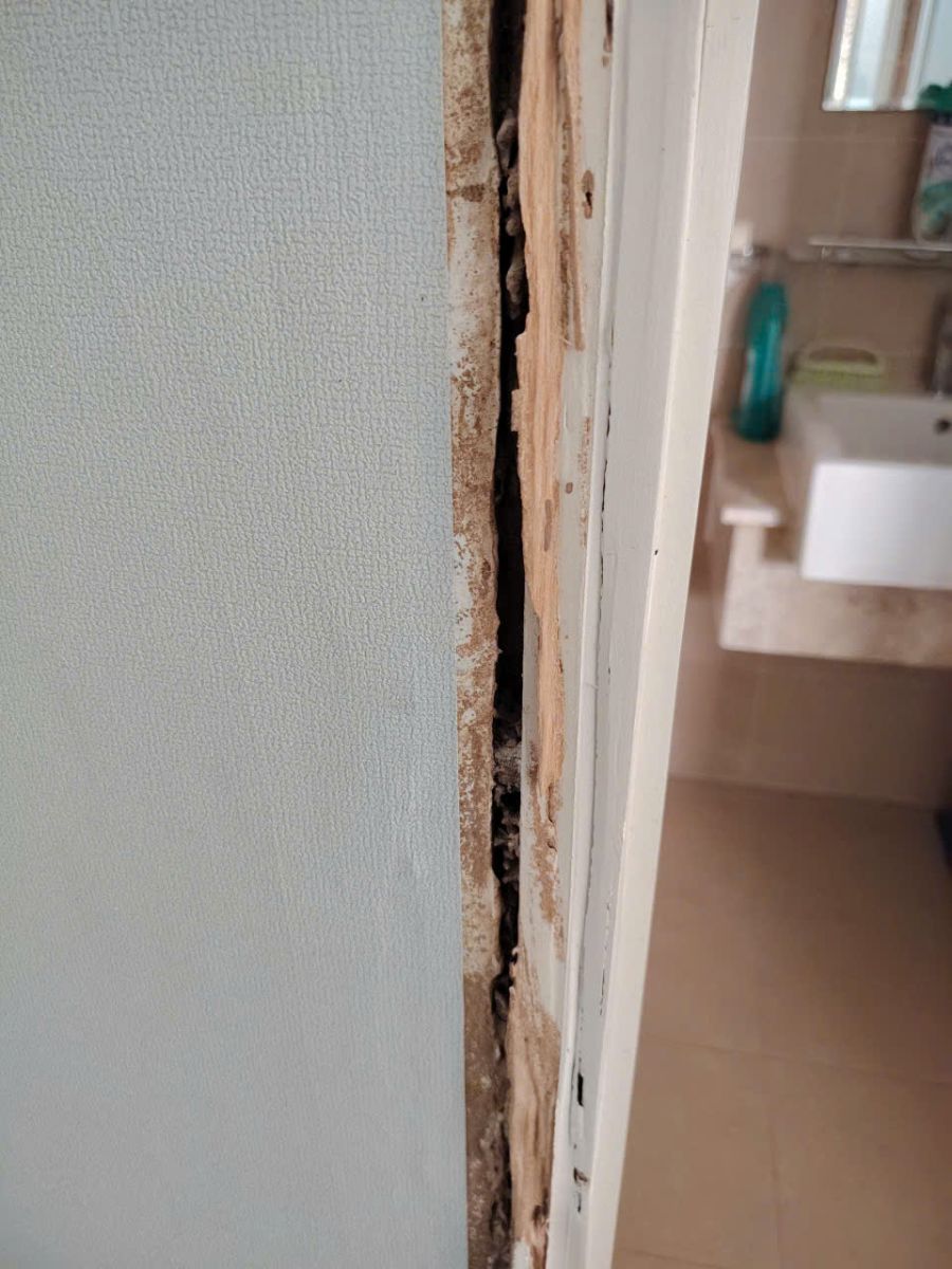 khung cửa gỗ dễ bị mối mọt phá hoại