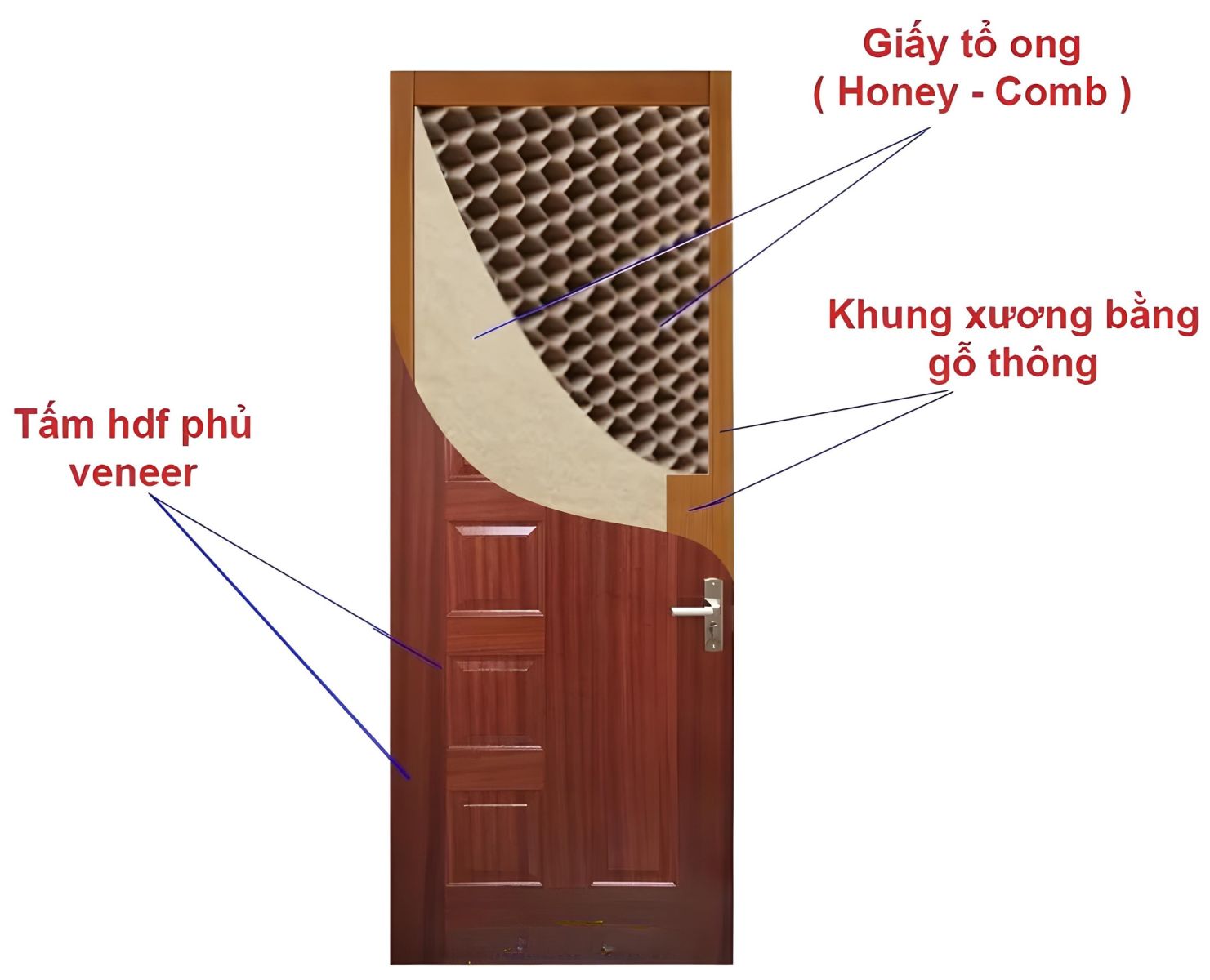 cấu tao cửa gỗ hdf