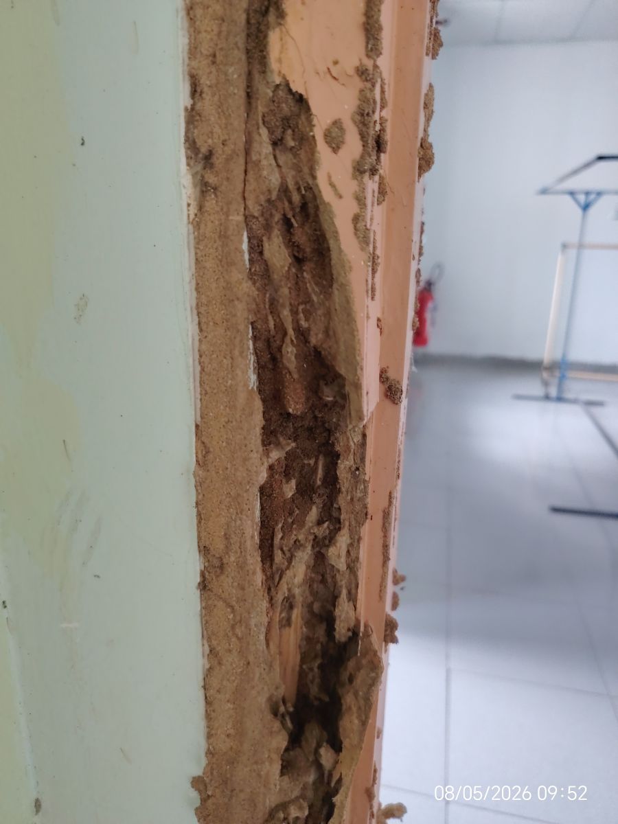 chân khung cửa bị mối mọt ăn mục rỗng