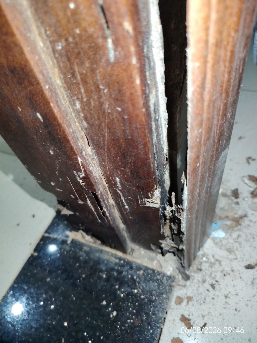 chân khung gỗ bị mục nặng do mối mọt