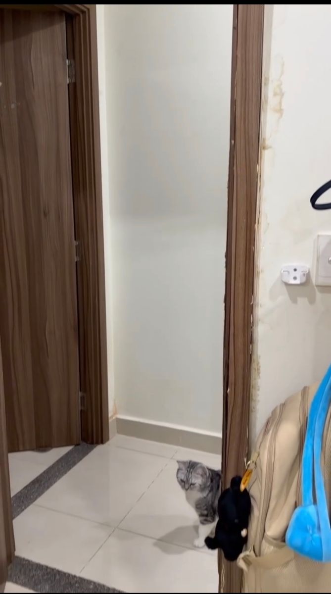 bộ cửa bị nở mục, khiến việc đóng mở khó khăn