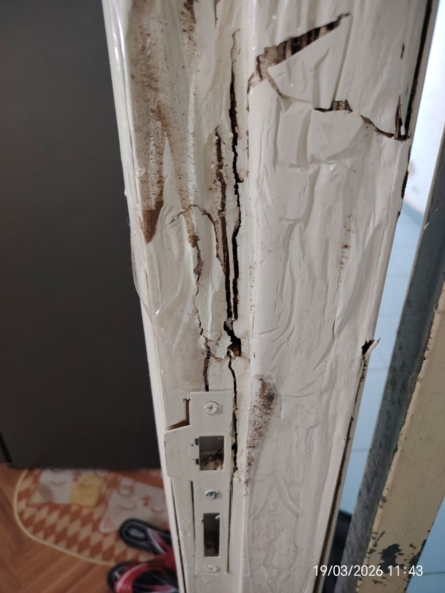 khung cửa gỗ công nghiệp bị mối mọt mục nát tại chung cư Lê Thành, Bình Tân