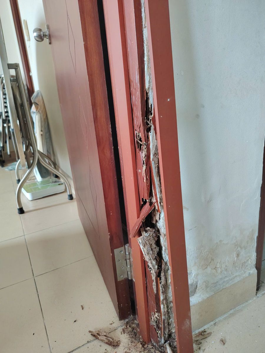 Chủ nhà ở Thảo Điền- Quận 2 đau đầu với nội thất bị mối mọt