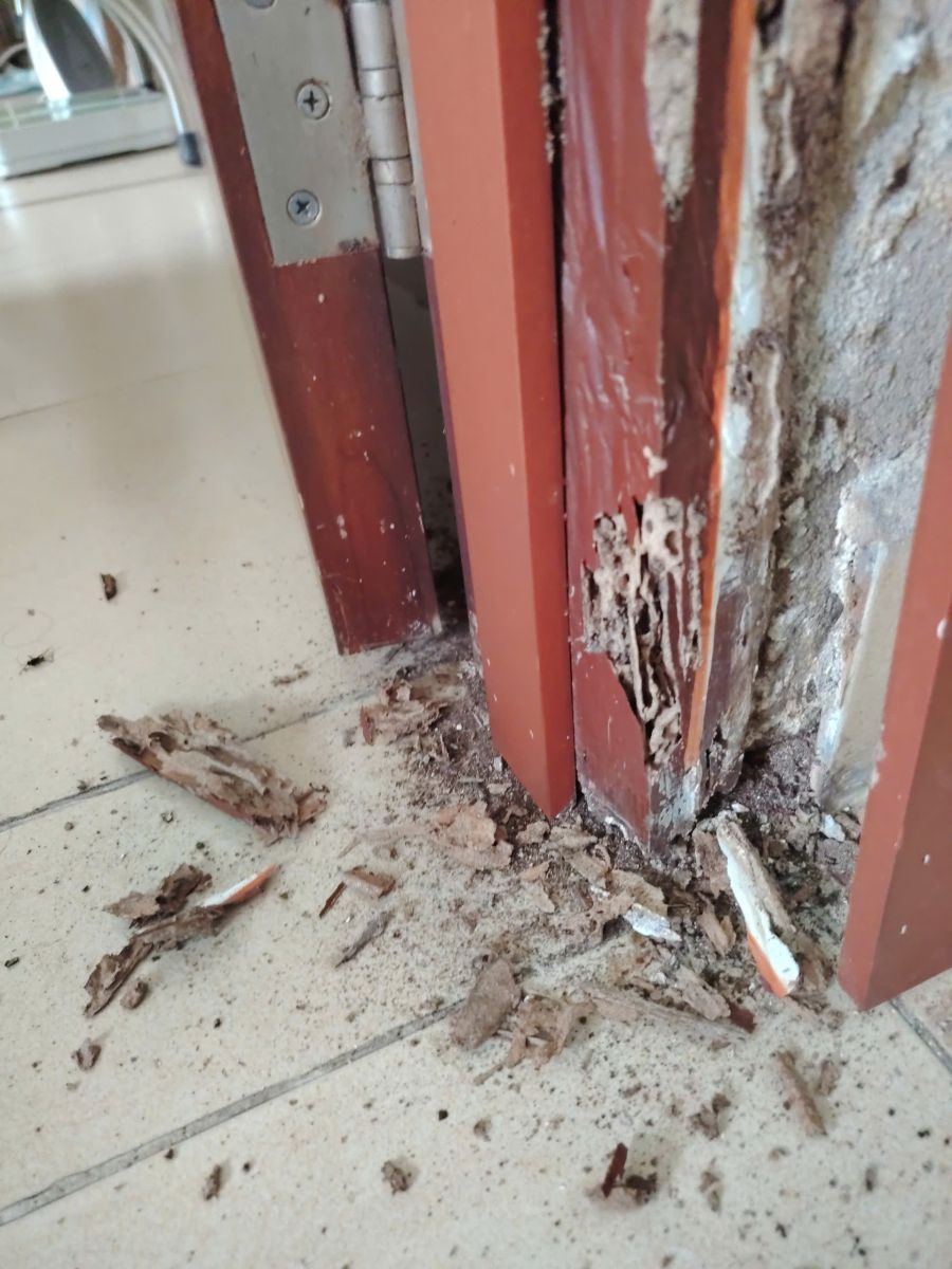 Khung cửa gỗ bị mối mọt tại Thảo Điền Quận 2