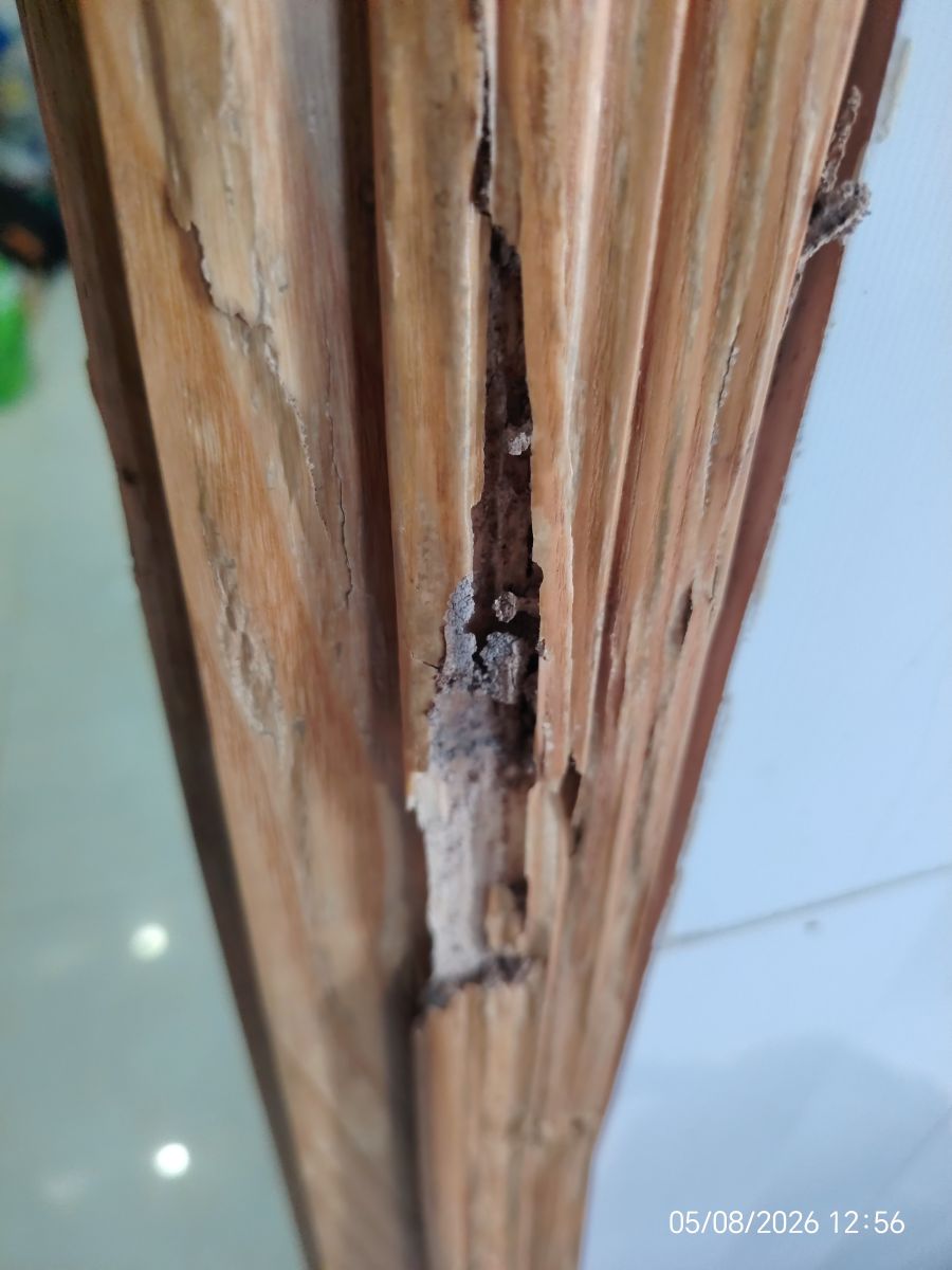 khung cửa bị hư hỏng hoàn toàn do mối mọt
