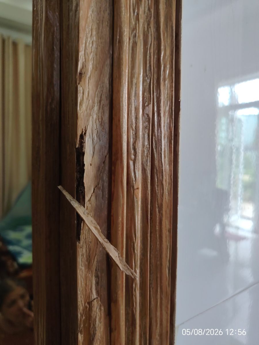 khung cửa gỗ bị ngấm mục từ bên trong