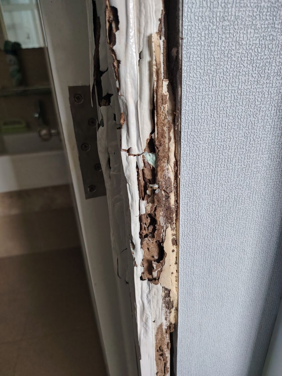 Dấu vết mối mọt phía sau nẹp khung cửa gỗ cũ