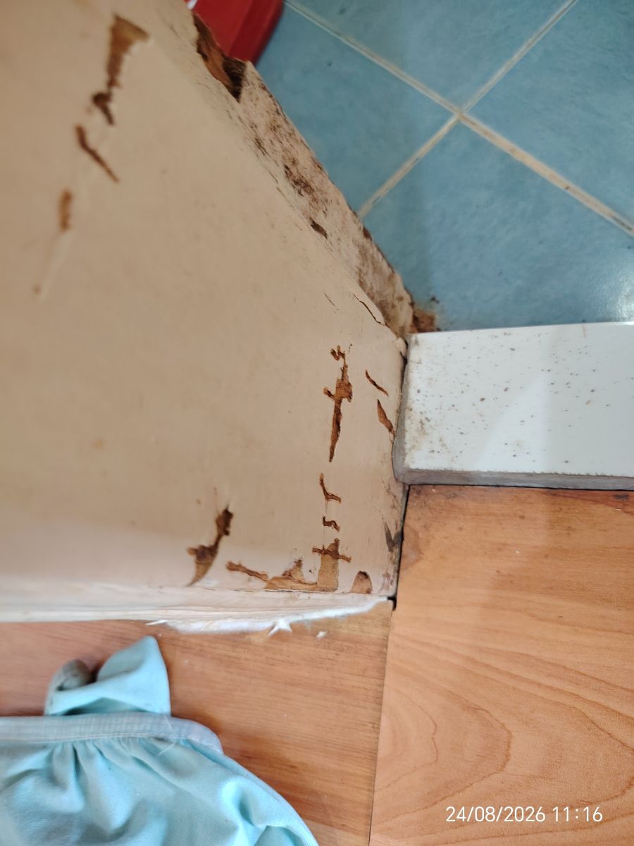 chân khung bị mục rỗng do mối mọt