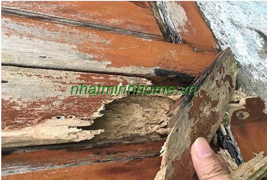 khung cửa gỗ bị mối mọt mục nát tại tân phú
