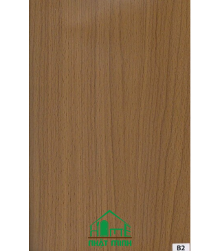 Cửa nhựa gỗ Composite ĐL NM-B115