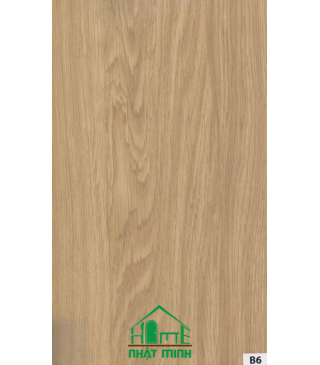 Cửa nhựa gỗ Composite ĐL NM-B117