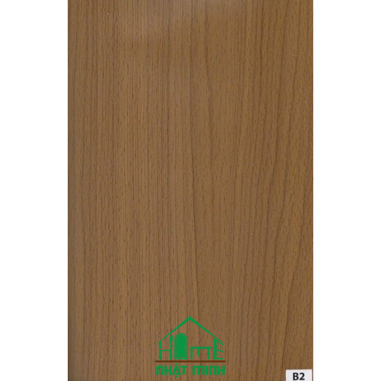 Cửa nhựa gỗ Composite ĐL NM-B115