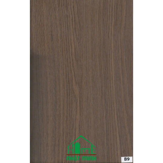 Cửa nhựa gỗ Composite ĐL NM-B119